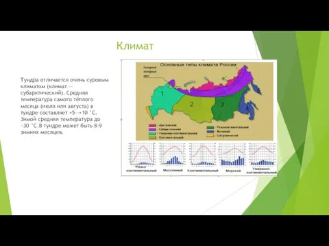 Климат Тундра отличается очень суровым климатом (климат — субарктический). Средняя температура