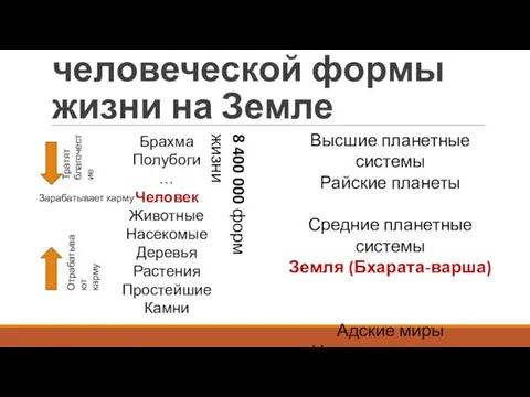 Уникальность человеческой формы жизни на Земле Брахма Полубоги … Человек Животные