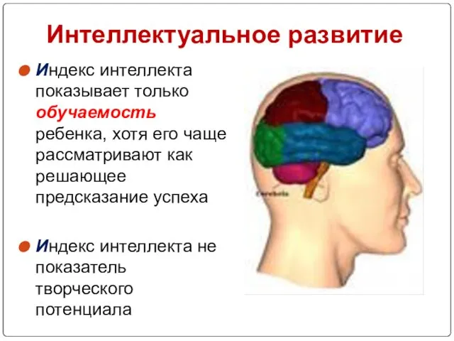 Интеллектуальное развитие Индекс интеллекта показывает только обучаемость ребенка, хотя его чаще