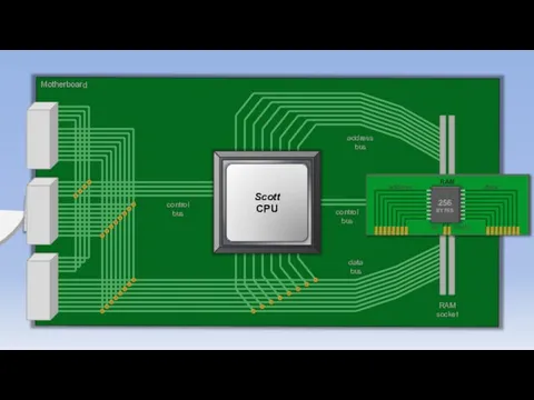 Motherboard control bus address bus data bus set enable control bus RAM socket