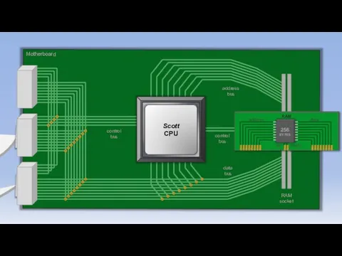 Motherboard control bus address bus data bus set enable control bus RAM socket