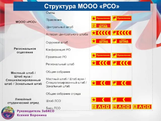 Структура МООО «РСО»