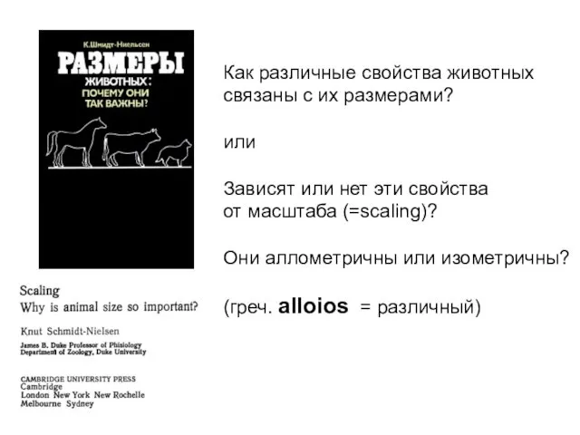 Как различные свойства животных связаны с их размерами? или Зависят или