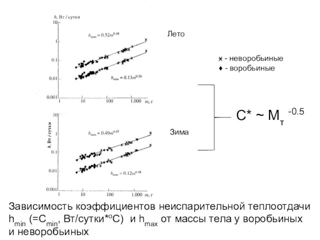Зависимость коэффициентов неиспарительной теплоотдачи hmin (=Cmin, Вт/сутки*оС) и hmax от массы
