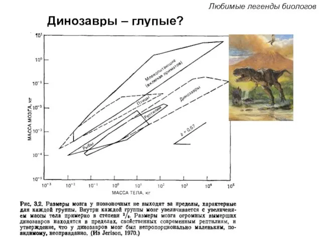 Динозавры – глупые? Любимые легенды биологов