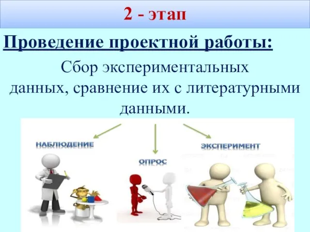 2 - этап Проведение проектной работы: Сбор экспериментальных данных, сравнение их с литературными данными.