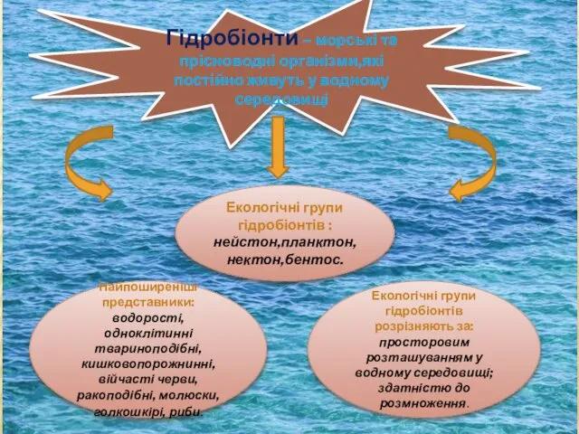 Гідробіонти – морські та прісноводні організми,які постійно живуть у водному середовищі