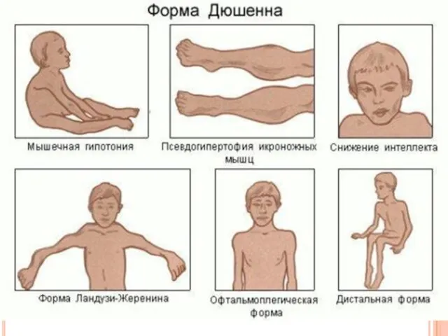 Slide Автор презентации | Nycomed | Октябрь 2009 | Только для внутреннего использования