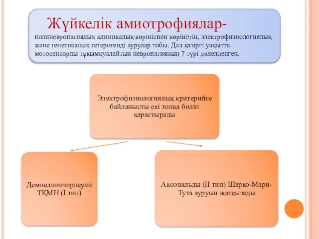 Жүйкелік амиотрофиялар- полиневропатиялық клиникалық көрініспен көрінетін, электрофизиологиялық және генетикалық гетерогенді аурулар