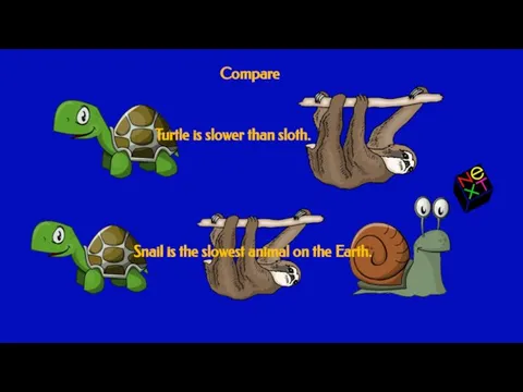 Compare Turtle is slower than sloth. Snail is the slowest animal on the Earth.