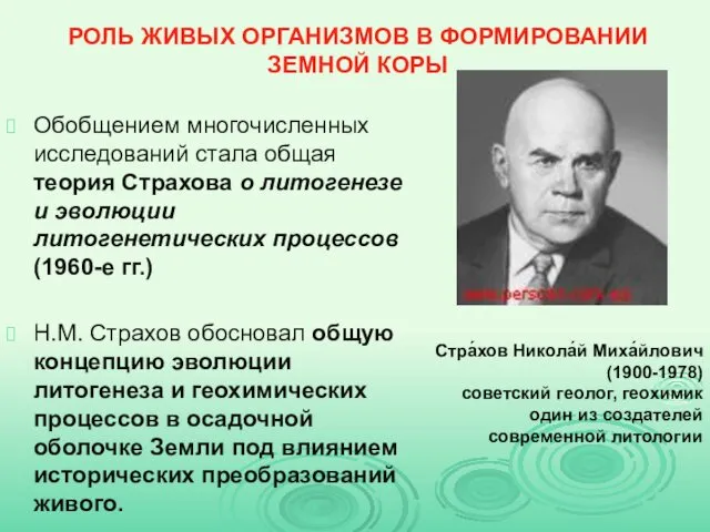 РОЛЬ ЖИВЫХ ОРГАНИЗМОВ В ФОРМИРОВАНИИ ЗЕМНОЙ КОРЫ Обобщением многочисленных исследований стала