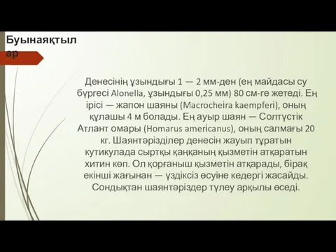 Буынаяқтылар Денесінің ұзындығы 1 — 2 мм-ден (ең майдасы су бүргесі