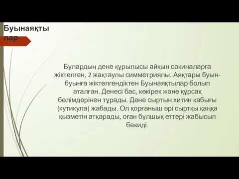 Буынаяқтылар Бұлардың дене құрылысы айқын сақиналарға жіктелген, 2 жақтаулы симметриялы. Аяқтары