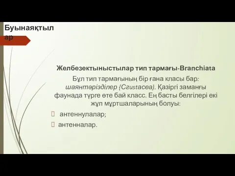 Буынаяқтылар Желбезектыныстылар тип тармағы-Вгапсһіаtа Бұл тип тармағының бір ғана класы бар: