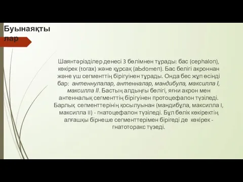 Буынаяқтылар Шаянтәрізділер денесі 3 бөлімнен тұрады: бас (серһаlоп), көкірек (tогах) және