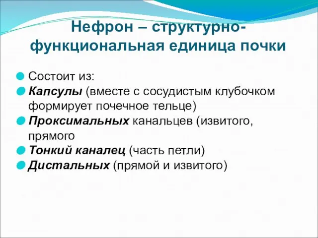 Нефрон – структурно-функциональная единица почки Состоит из: Капсулы (вместе с сосудистым