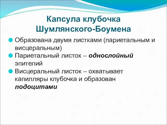 Капсула клубочка Шумлянского-Боумена Образована двумя листками (париетальным и висцеральным) Париетальный листок