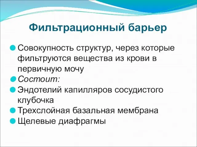 Фильтрационный барьер Совокупность структур, через которые фильтруются вещества из крови в