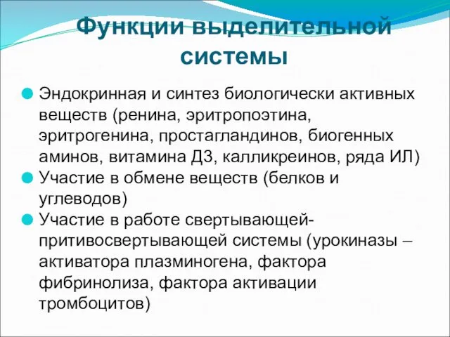 Функции выделительной системы Эндокринная и синтез биологически активных веществ (ренина, эритропоэтина,