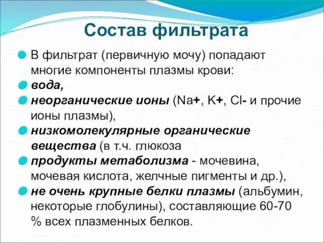 Состав фильтрата В фильтрат (первичную мочу) попадают многие компоненты плазмы крови: