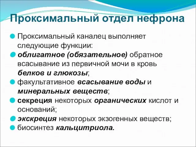 Проксимальный отдел нефрона Проксимальный каналец выполняет следующие функции: облигатное (обязательное) обратное