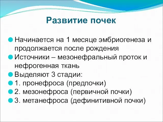 Развитие почек Начинается на 1 месяце эмбриогенеза и продолжается после рождения