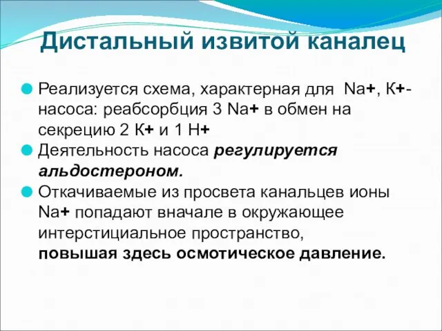 Дистальный извитой каналец Реализуется схема, характерная для Na+, К+-насоса: реабсорбция 3