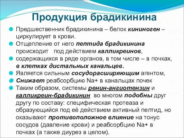 Продукция брадикинина Предшественник брадикинина – белок кининоген – циркулирует в крови.