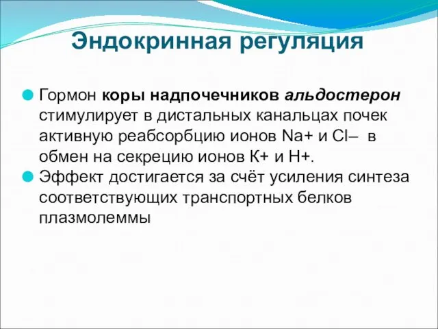 Эндокринная регуляция Гормон коры надпочечников альдостерон стимулирует в дистальных канальцах почек