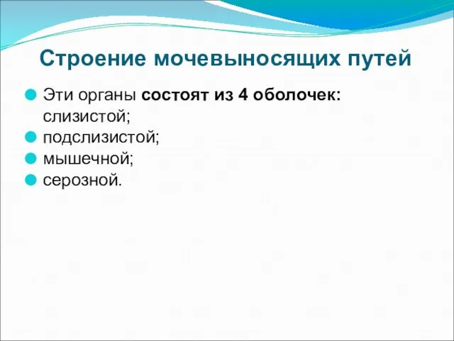 Строение мочевыносящих путей Эти органы состоят из 4 оболочек: слизистой; подслизистой; мышечной; серозной.