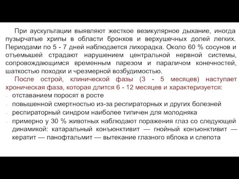 При аускультации выявляют жесткое везикулярное дыхание, иногда пузырчатые хрипы в области