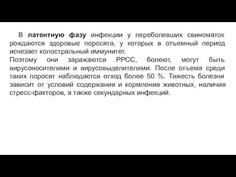 В латентную фазу инфекции у переболевших свиноматок рождаются здоровые поросята, у