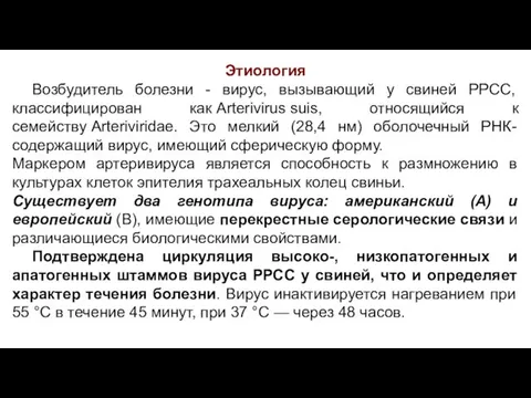 Этиология Возбудитель болезни - вирус, вызывающий у свиней РРСС, классифицирован как