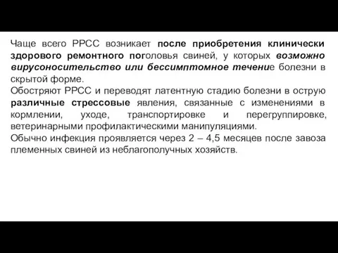 Чаще всего РРСС возникает после приобретения клинически здорового ремонтного поголовья свиней,