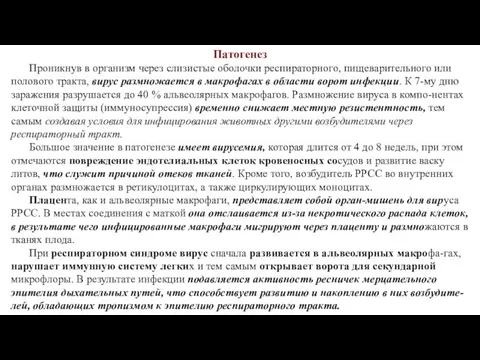 Патогенез Проникнув в организм через слизистые оболочки респираторного, пищеварительного или полового