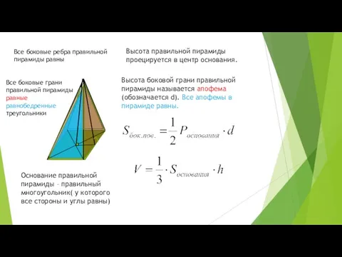 Основание правильной пирамиды – правильный многоугольник( у которого все стороны и