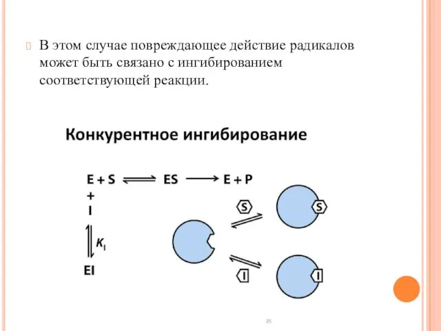 В этом случае повреждающее действие радикалов может быть связано с ингибированием соответствующей реакции.