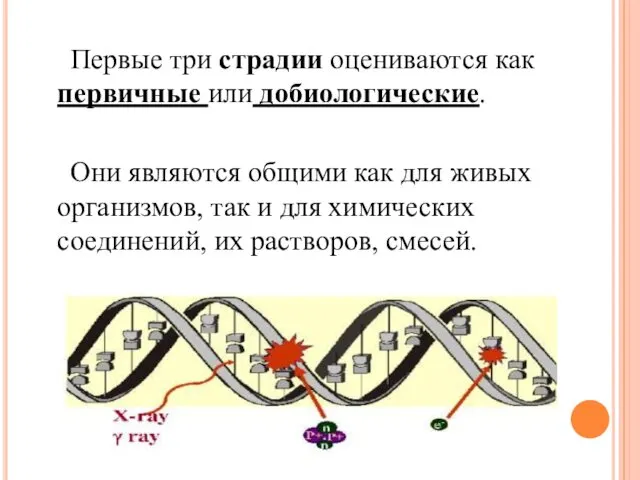 Первые три страдии оцениваются как первичные или добиологические. Они являются общими