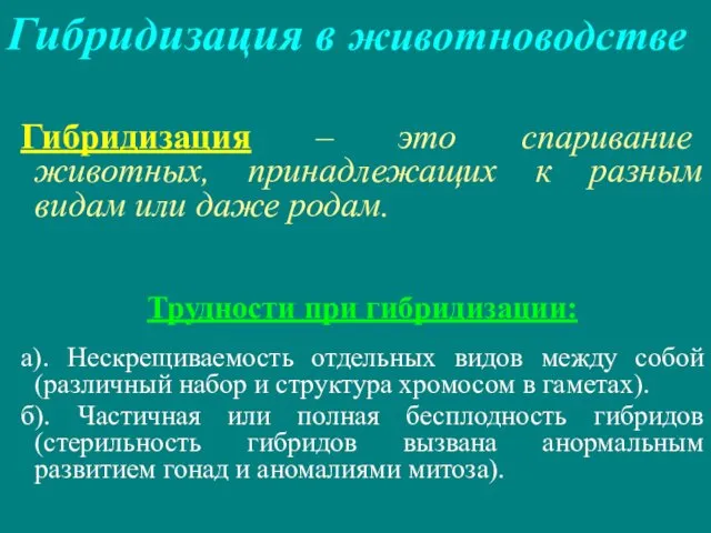 Гибридизация в животноводстве Гибридизация – это спаривание животных, принадлежащих к разным