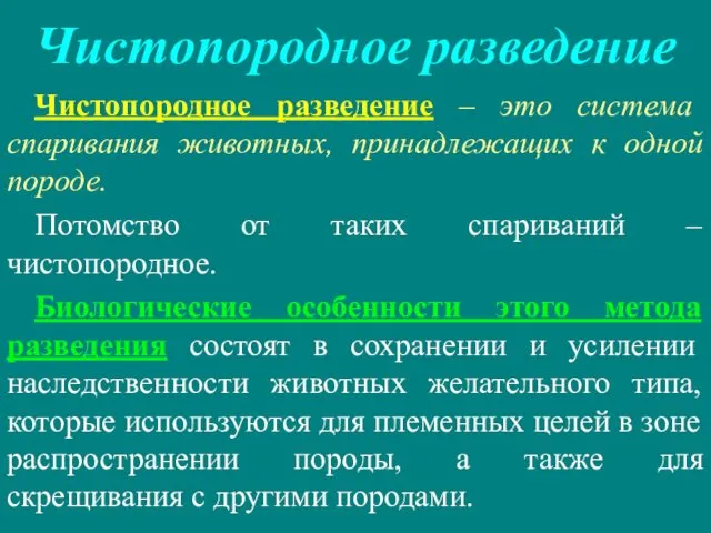 Чистопородное разведение Чистопородное разведение – это система спаривания животных, принадлежащих к