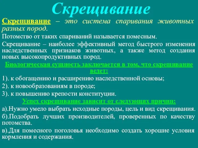 Скрещивание Скрещивание – это система спаривания животных разных пород. Потомство от