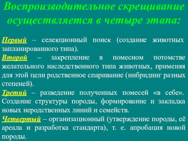 Воспроизводительное скрещивание осуществляется в четыре этапа: Первый – селекционный поиск (создание