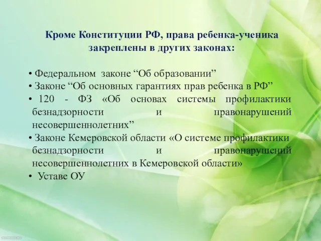 Кроме Конституции РФ, права ребенка-ученика закреплены в других законах: Федеральном законе