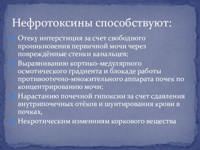 Отеку интерстиция за счет свободного проникновения первичной мочи через повреждённые стенки