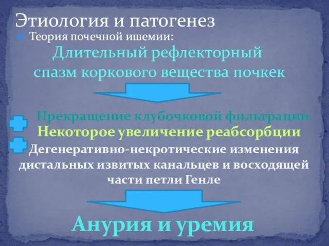 Теория почечной ишемии: Этиология и патогенез Длительный рефлекторный спазм коркового вещества