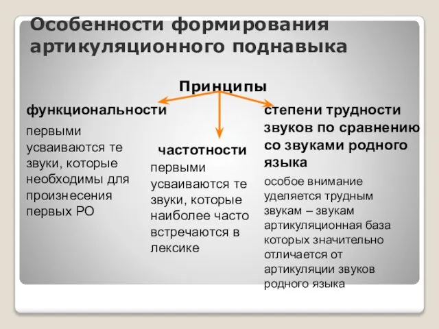 Особенности формирования артикуляционного поднавыка Принципы функциональности первыми усваиваются те звуки, которые