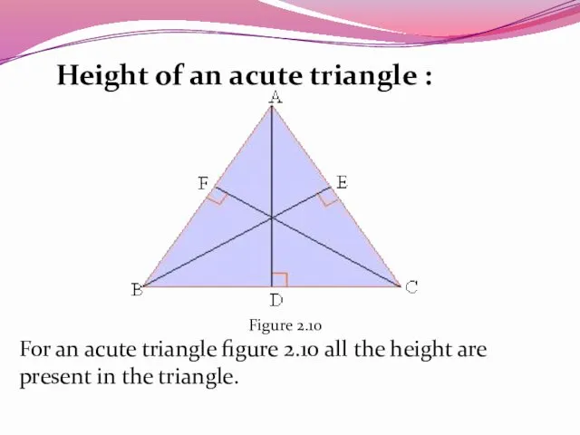 Height of an acute triangle : Figure 2.10 For an acute