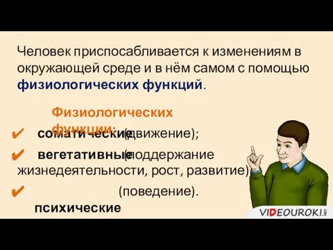 Человек приспосабливается к изменениям в окружающей среде и в нём самом