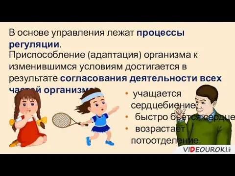 В основе управления лежат процессы регуляции. Приспособление (адаптация) организма к изменившимся