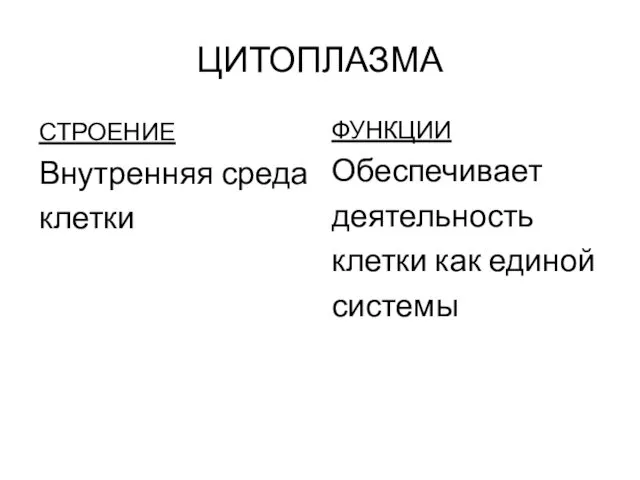 ЦИТОПЛАЗМА СТРОЕНИЕ Внутренняя среда клетки ФУНКЦИИ Обеспечивает деятельность клетки как единой системы